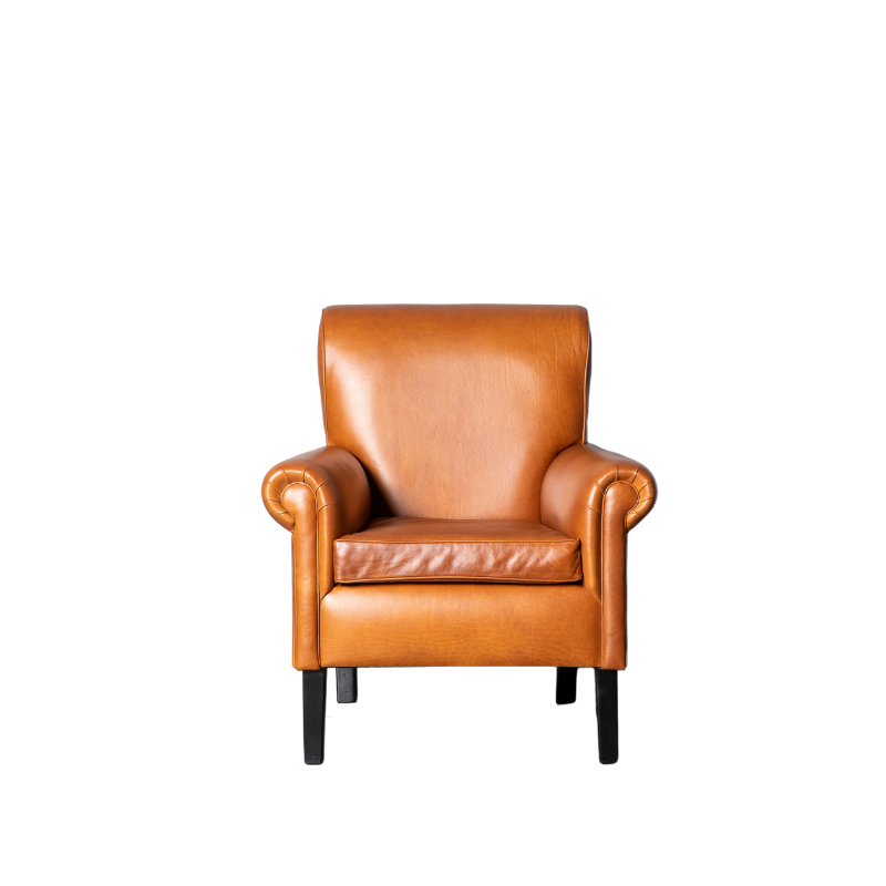 Karoo Armchair