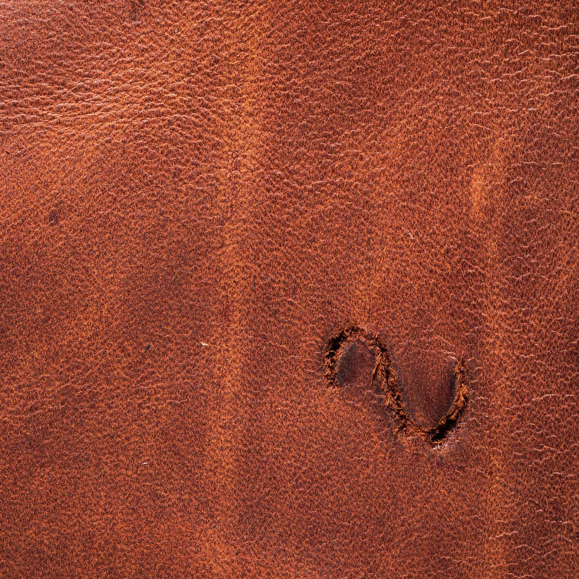 Premium Leather Collection – Explore our exclusive range of Cow, Kudu, and Oryx Genuine Full Grain Leathers. We keep it real with the finest materials, offering a touch of luxury and authenticity for your furniture.
